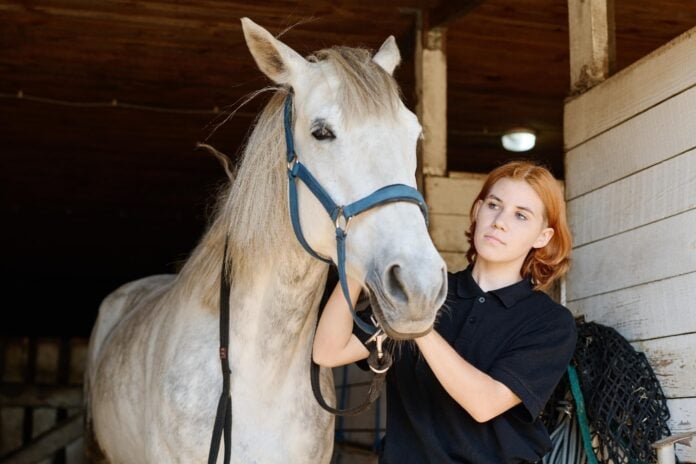 Freddie Vasquez Equestrian Reviews The Role of Ground Poles in Developing Balance, Strength, and Coordination