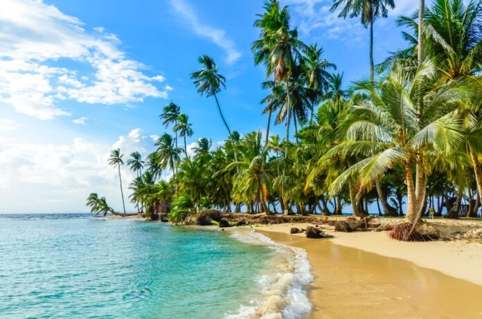 Dr. Sharine Forbes On Why Location Still Matters in a Wellness Destination And What Panama Gets Right