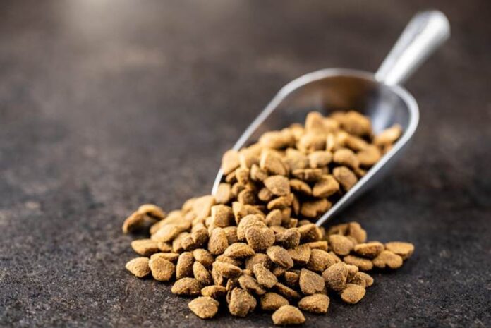 The Pride Dog Food Explains How Protein Quality Defines Canine Health